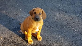 At 8 weeks old
