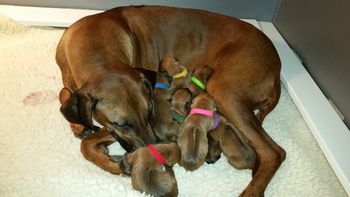 New Born
