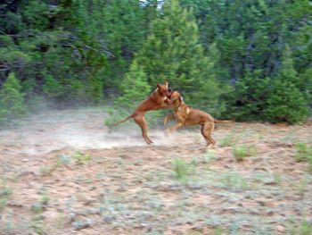 Reddington and Lacy July 2016
