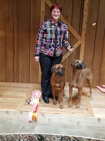 Kimber and Ripley Best Brace RRCUS Nationals 2018
