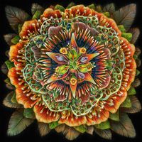 Thank You For The Medicine (Streaming) by Jont 
