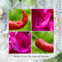 Notes From My Secret Garden by Katie Ann