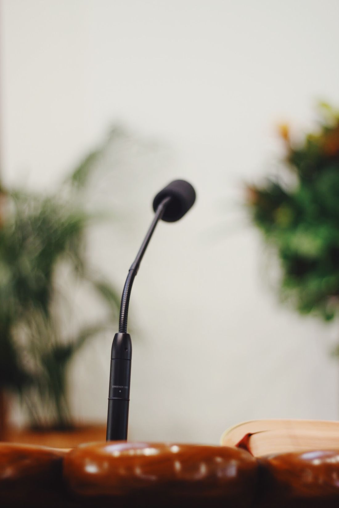 Podium Mic.

