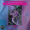 PANTHERA VOL II