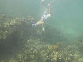 Jamaica
