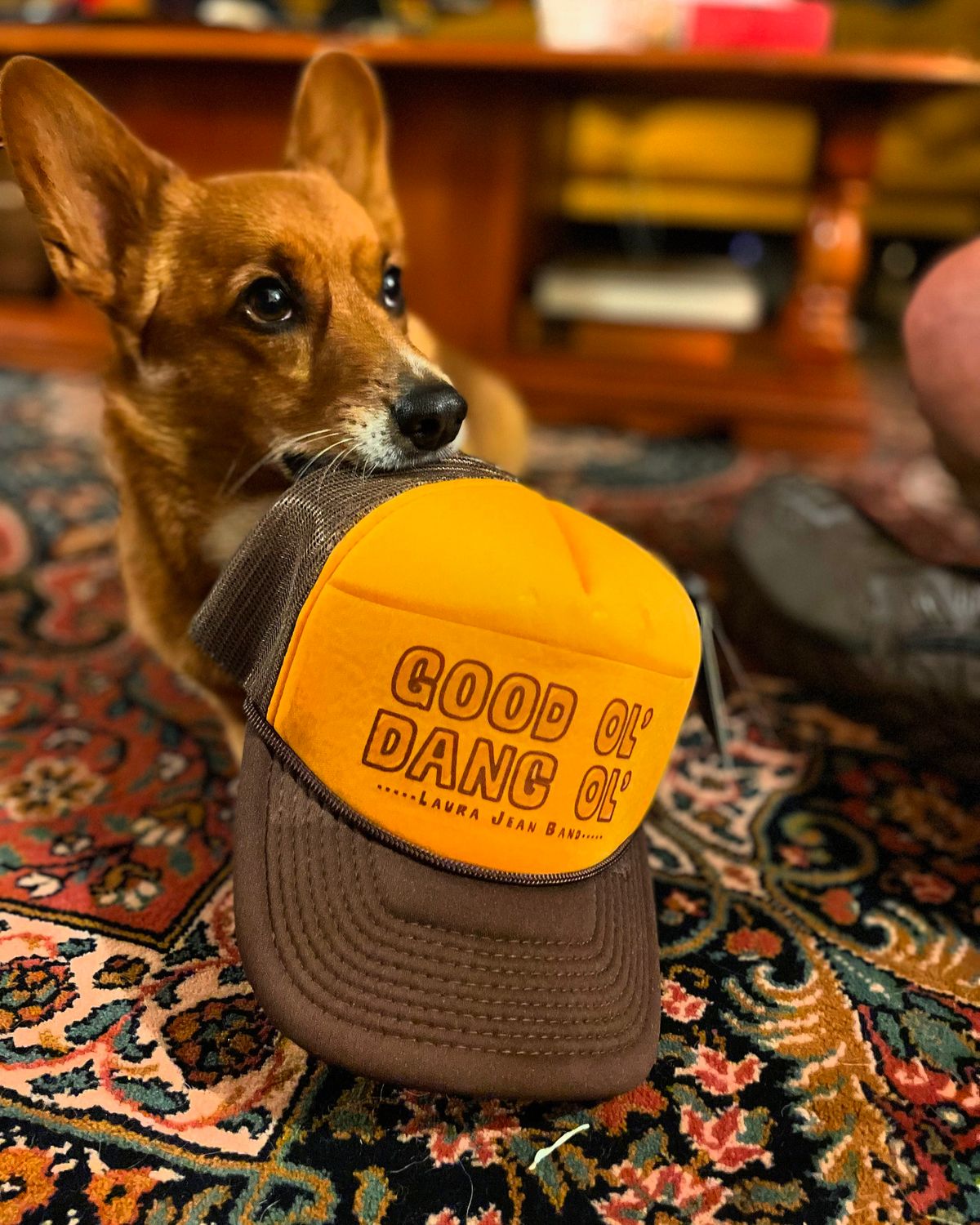 Good Ol' Dang Ol' Hat