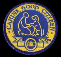Spring 2026;  AKC CGC Training -Beginner Canine Good Citizen Class