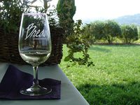 Quasi 2 at Breaux Vineyards