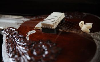Swan on sitar
