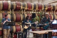 SUGARPLUM TRIO at Lucid Winery