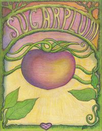 SUGARPLUM DUO at Lucid Winery