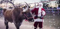 Old West Christmas Light Fest