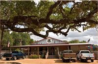The Shade Tree Saloon