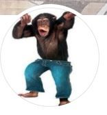 Monkey Cage Saloon 