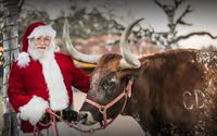 Old West Christmas Light Fest