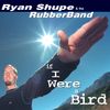 If I Were A Bird - If I Were A Bird CD