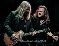 American Zeppelin Unplugged