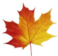 Jeff Rixx Graham on Canada Day