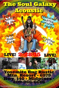 The Soul Galaxy "Acoustic" at The Bug!
