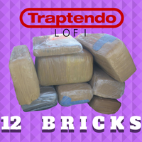 12 Ｂｒｉｃｋｓ by DJ Ave Mcree