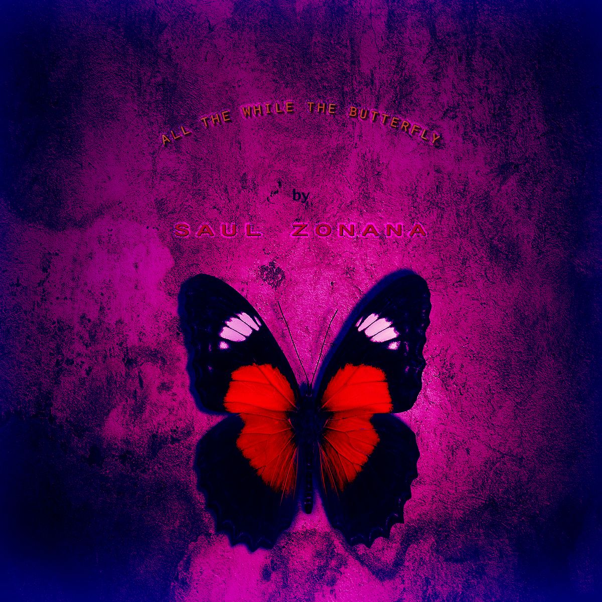 All The While The Butterfly - CD