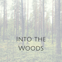 “Into The Woods” - Preview Performance