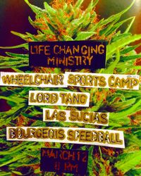 NO BIG DEAL spring tour 2016