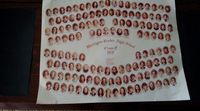 1978 Michigan Center Class Reunion