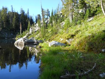 Fish Hook Camp
