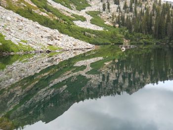 Perfect Reflection Fish Hook
