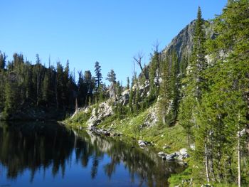 Lake Forest Medly
