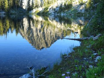 Ebert's Mirror

