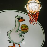 Social Goose