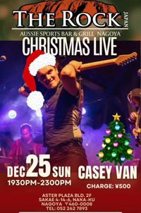 Casey Van Christmas Party