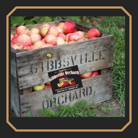 NITRO FIVE - GIBBSVILLE ORCHARD