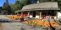 Minnetonka Orchards