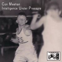 Intelligence Under Pressure - 15 track album by Con Meehan