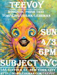TeeVoY: Acoustic Phish Trio ft Noah Lehrman on Percussion in NYC!