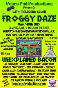 Noah Lehrman @ Froggy Daze Festival