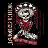 Don't Say I Didn't Warn You by James Cook