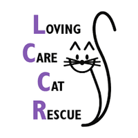 Loving Care Cat Rescue's Rock out for Rescue*