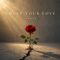 Shine Your Love by REVNED