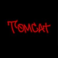 Mermaid Avenue @ Tomcat