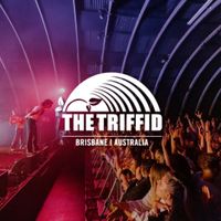 Mermaid Avenue @Triffid Roots