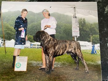 Taking BOB over specials at 14 mos
