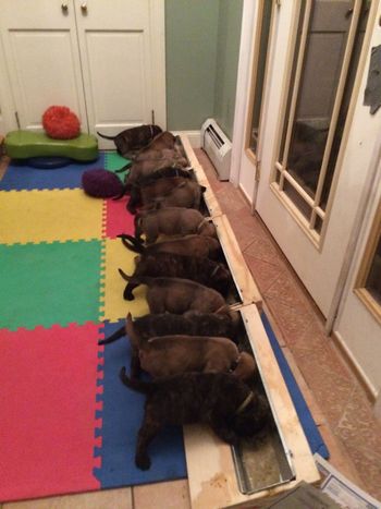 Hungry kids
