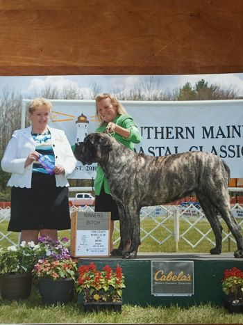 Clarice taking WB 3 out of 4 days for her first points at 18 mos old  in Maine
