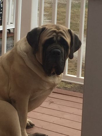 Lizzie at 27 mos
