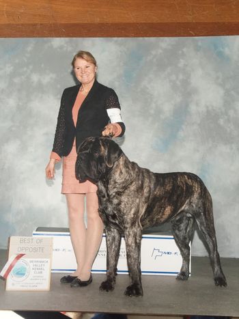 BOS to his Mamma - major win toward his grand - first show of 2016. 14 mos old
