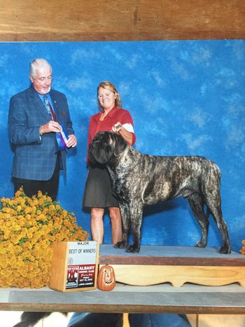Vamp winning a major at 11 mos
